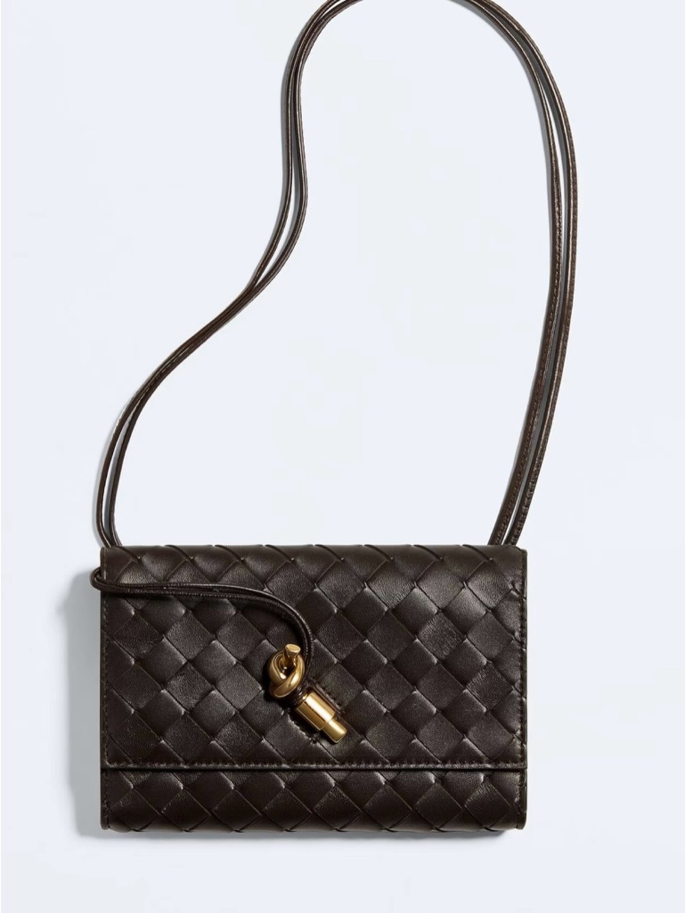 Bottega Veneta Andiamo Pouch